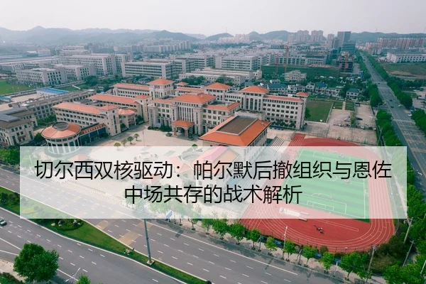 qie-er-xi-shuang-he-qu-dong-pa-er-mo-hou-che-zu-zhi-yu-en-zuo-zhong-chang-gong-cun-de-zhan-shu-jie-xi-3-911.jpg