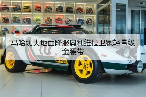 ma-ha-qie-fu-di-mian-xiang-fu-ao-li-wei-la-wei-mian-qing-liang-ji-jin-yao-dai-2-739.jpg