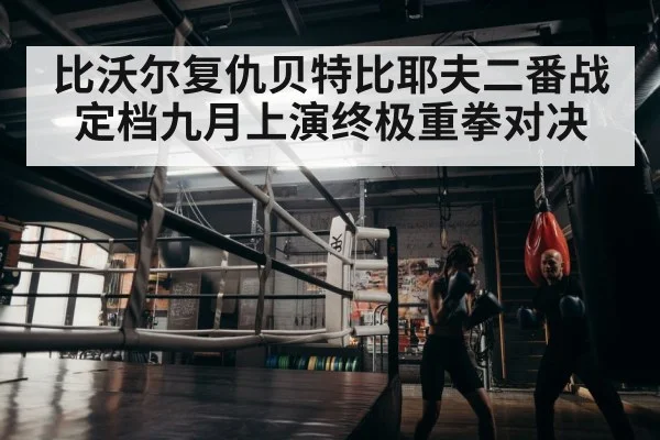 boxer training