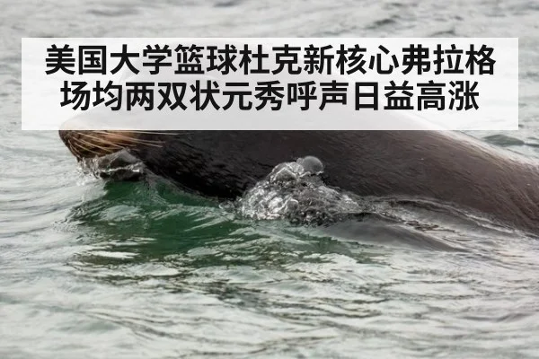 美国大学篮球杜克新核心弗拉格场均两双状元秀呼声日益高涨